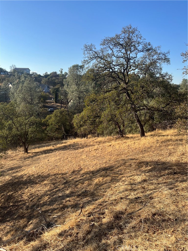 175 Lemon Hill