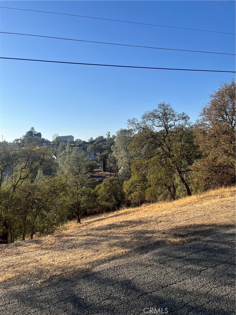 175 Lemon Hill