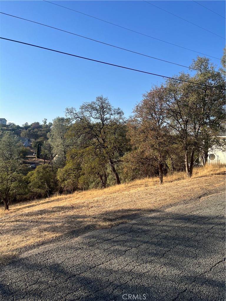 175 Lemon Hill