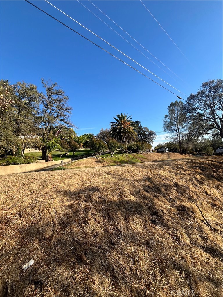 175 Lemon Hill
