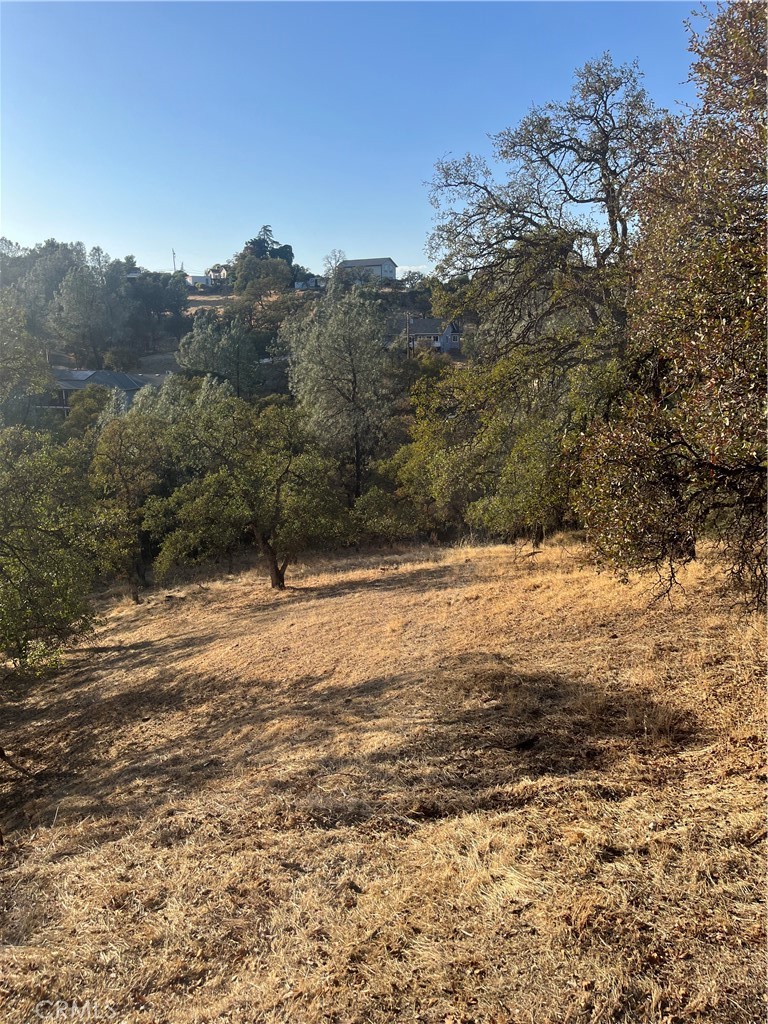 175 Lemon Hill