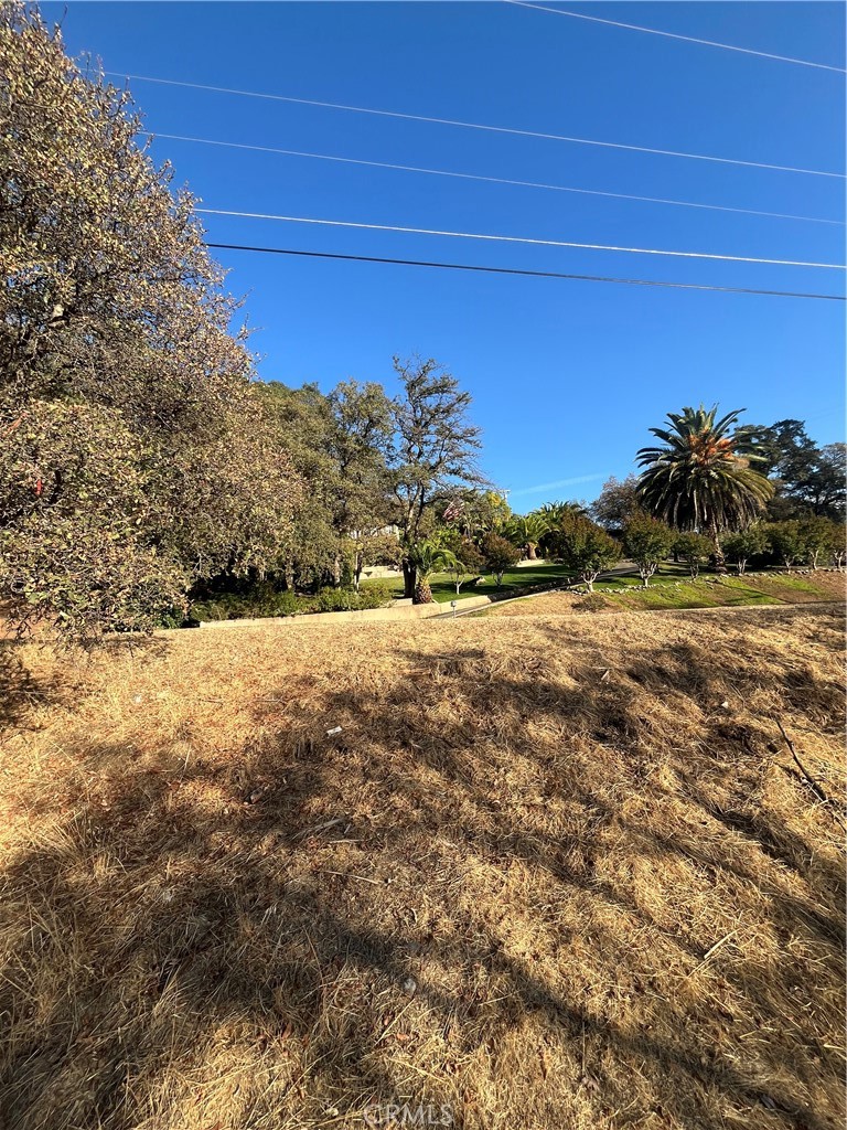 175 Lemon Hill