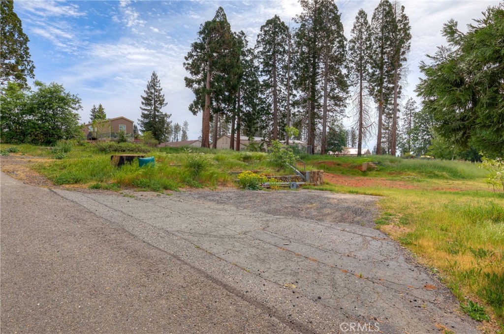 1676 Mulberry Lane