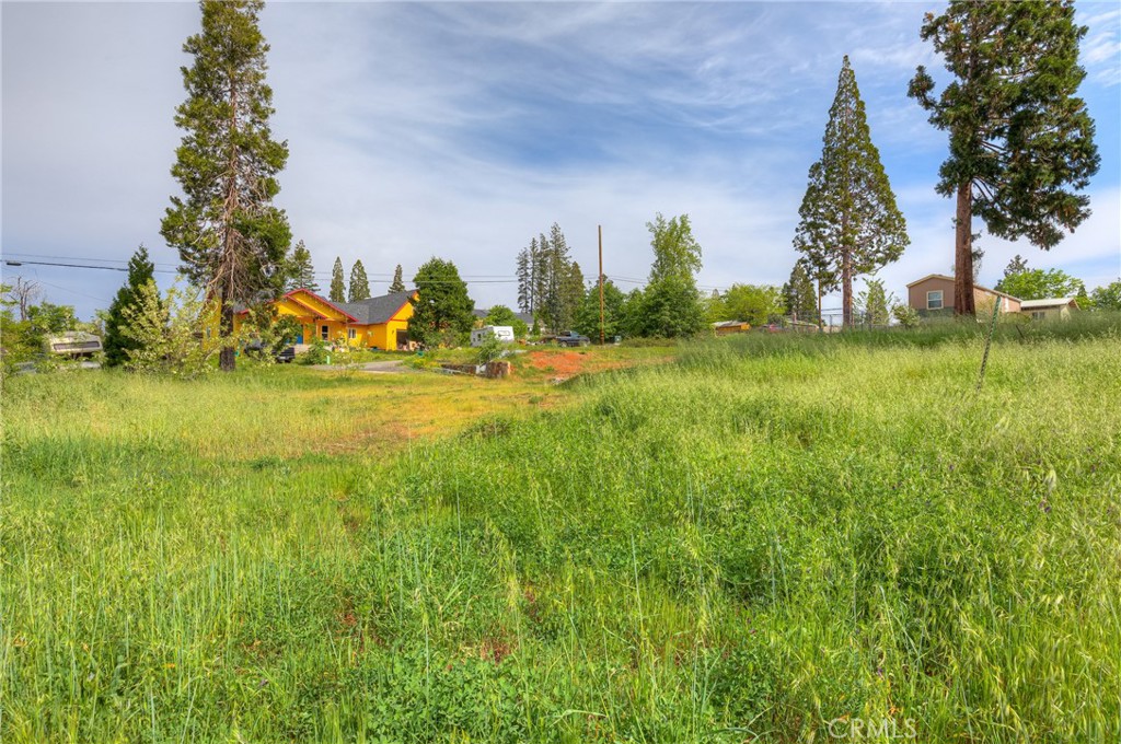 1676 Mulberry Lane