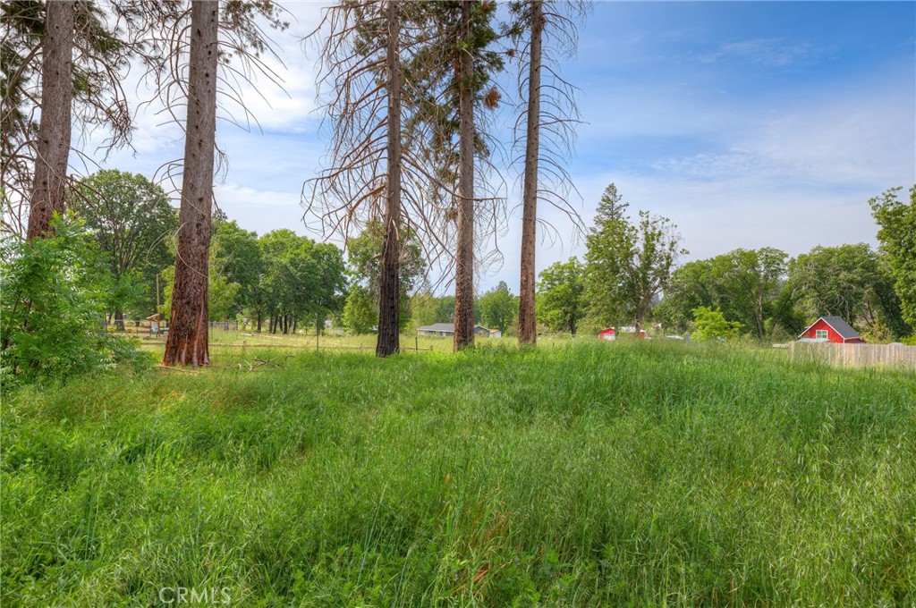 1676 Mulberry Lane