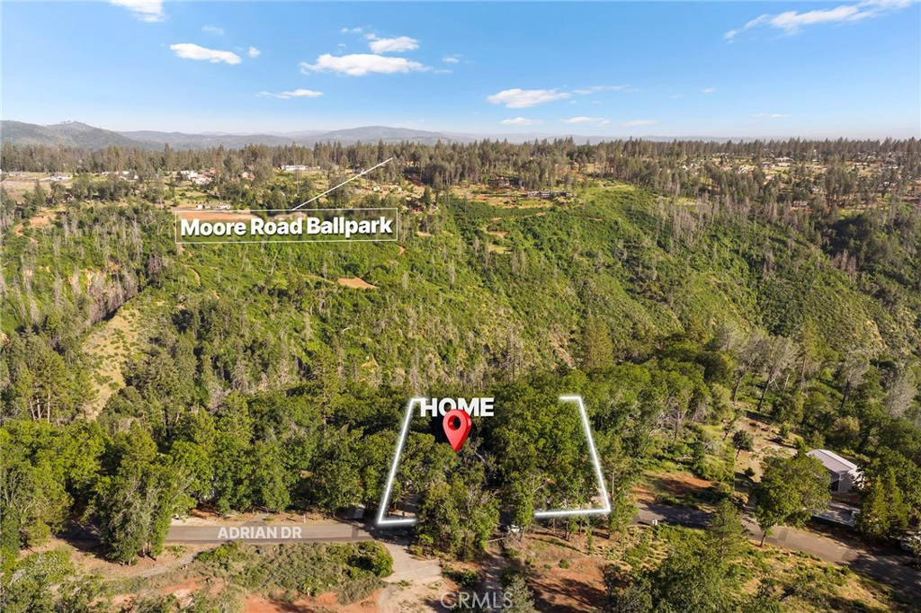 13424 Adrian Drive
