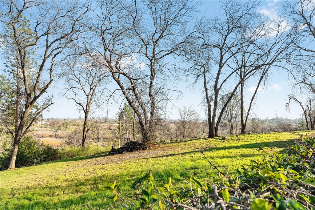 316 Memphis Drive