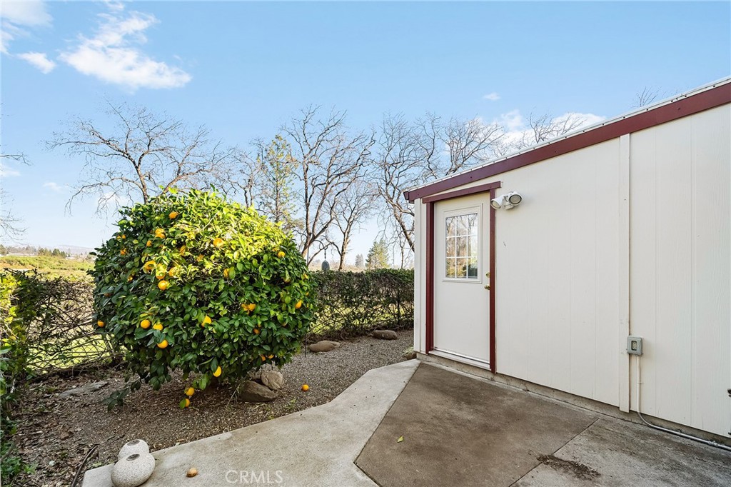 316 Memphis Drive