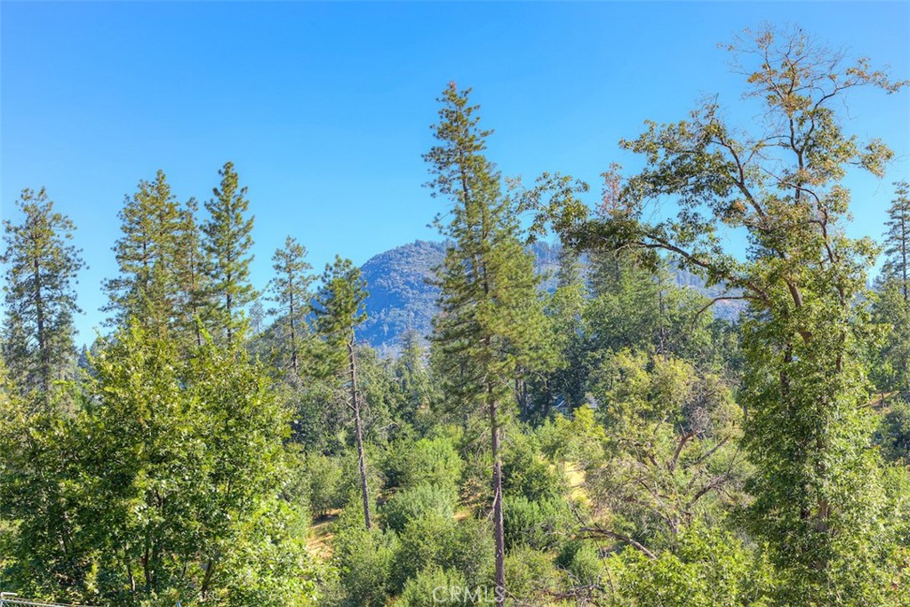 1831 Clear Brook