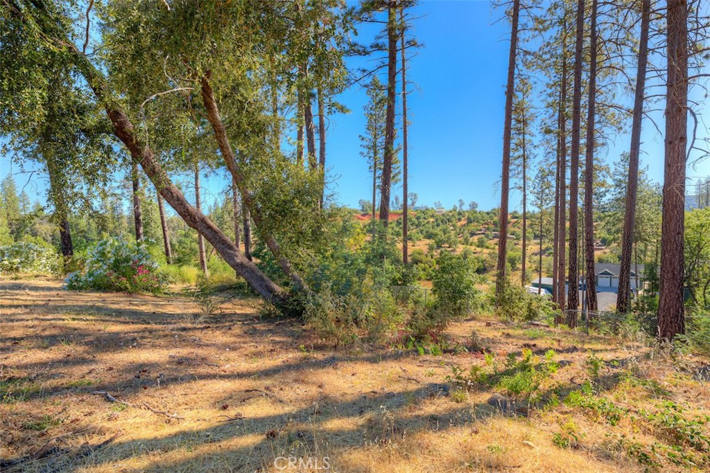 1831 Clear Brook