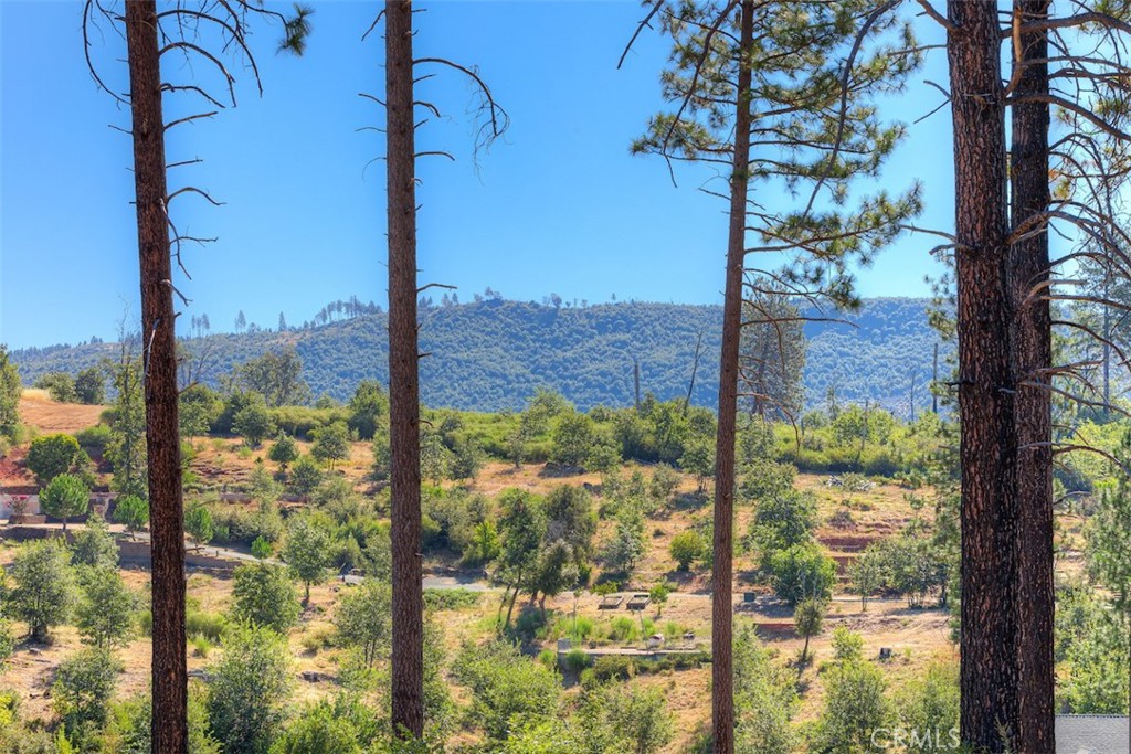 1831 Clear Brook