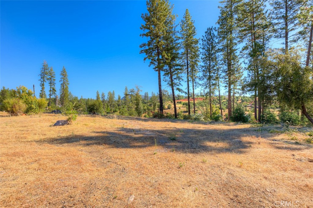 1831 Clear Brook
