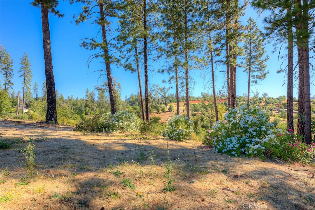 1831 Clear Brook