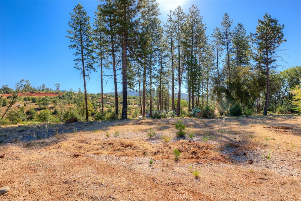 1831 Clear Brook