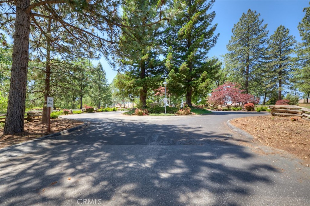 15004 Woodland Park