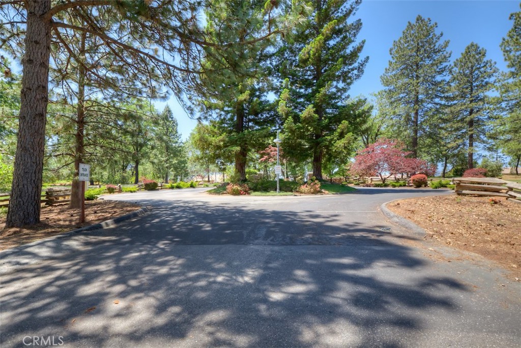 15004 Woodland Park