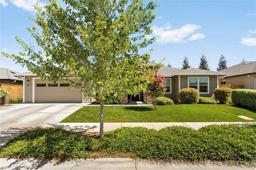 407 Antelope Creek
