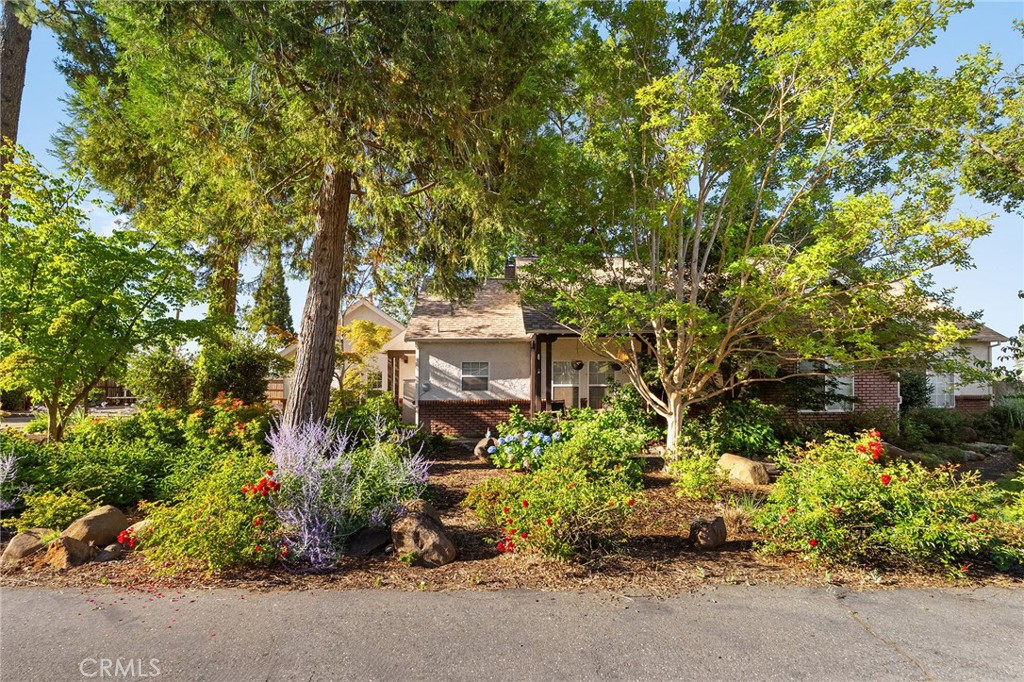 Single-story home shaded by mature trees, with a colorful landscaped garden along the street.