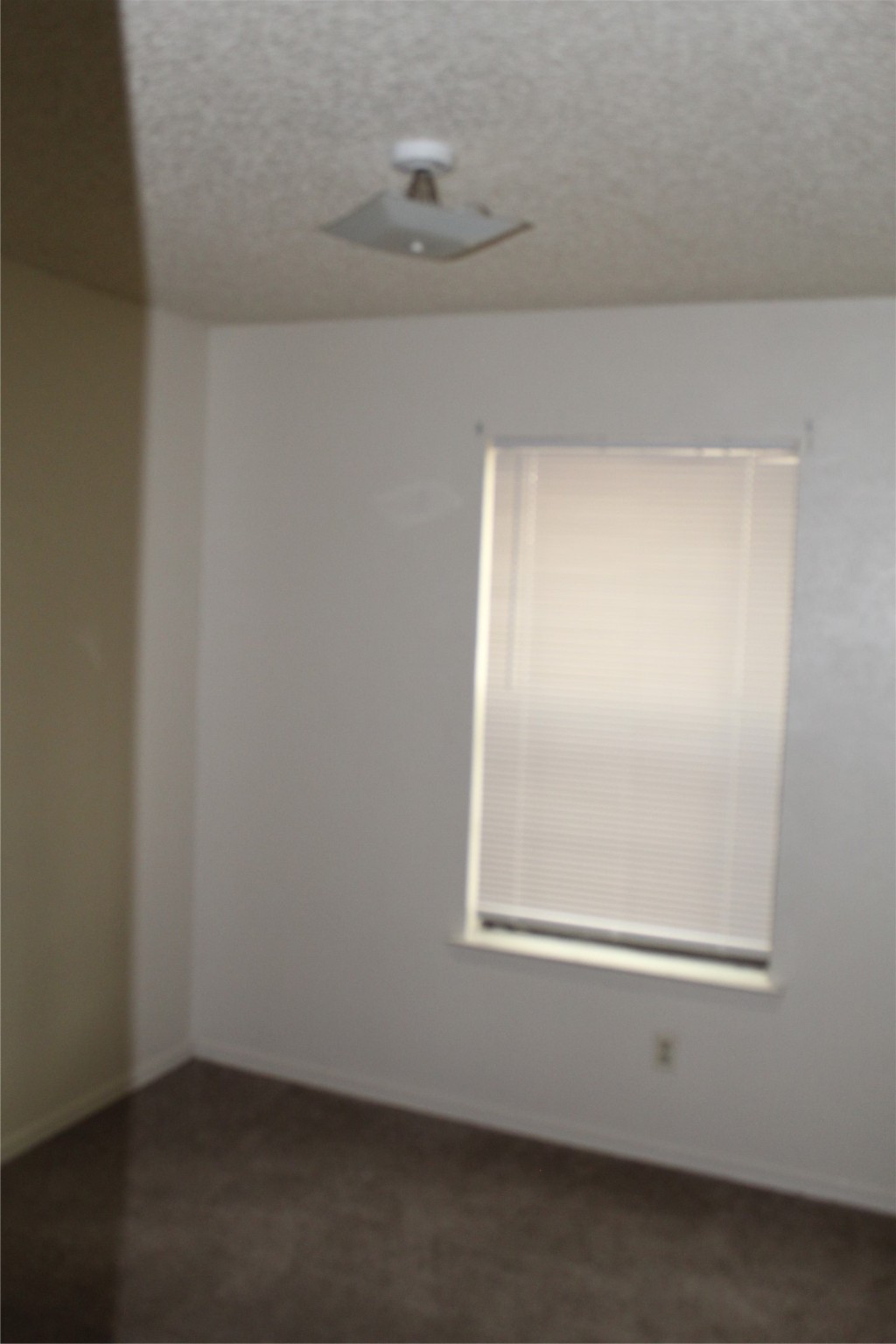 2507 Stella Street B