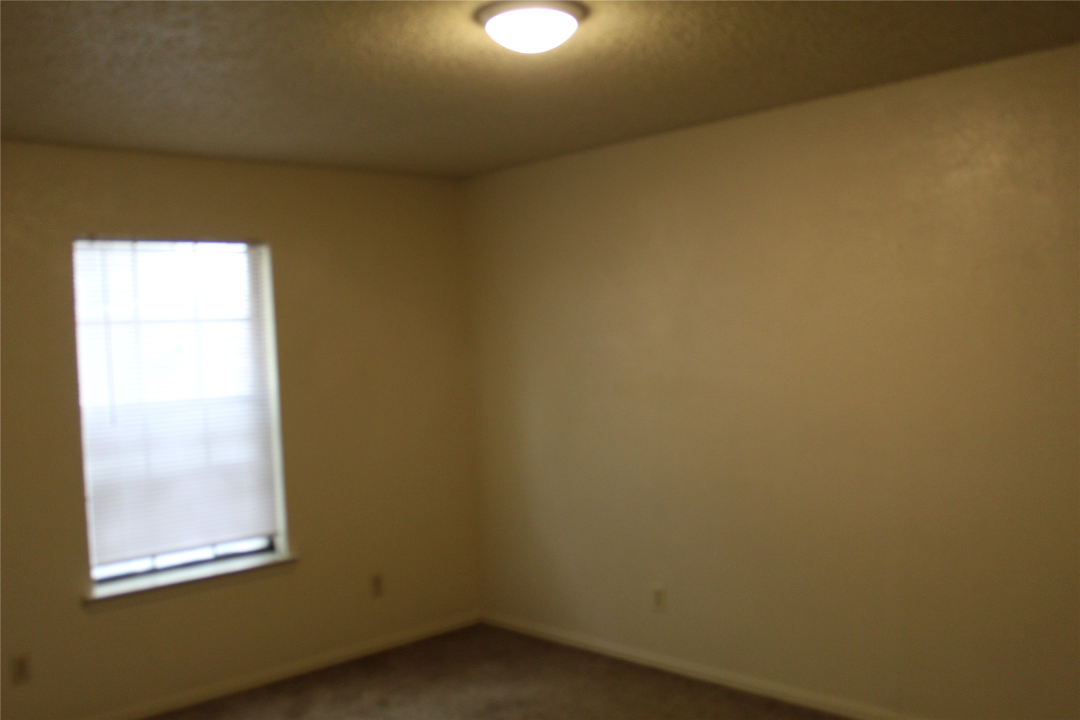 2507 Stella Street B