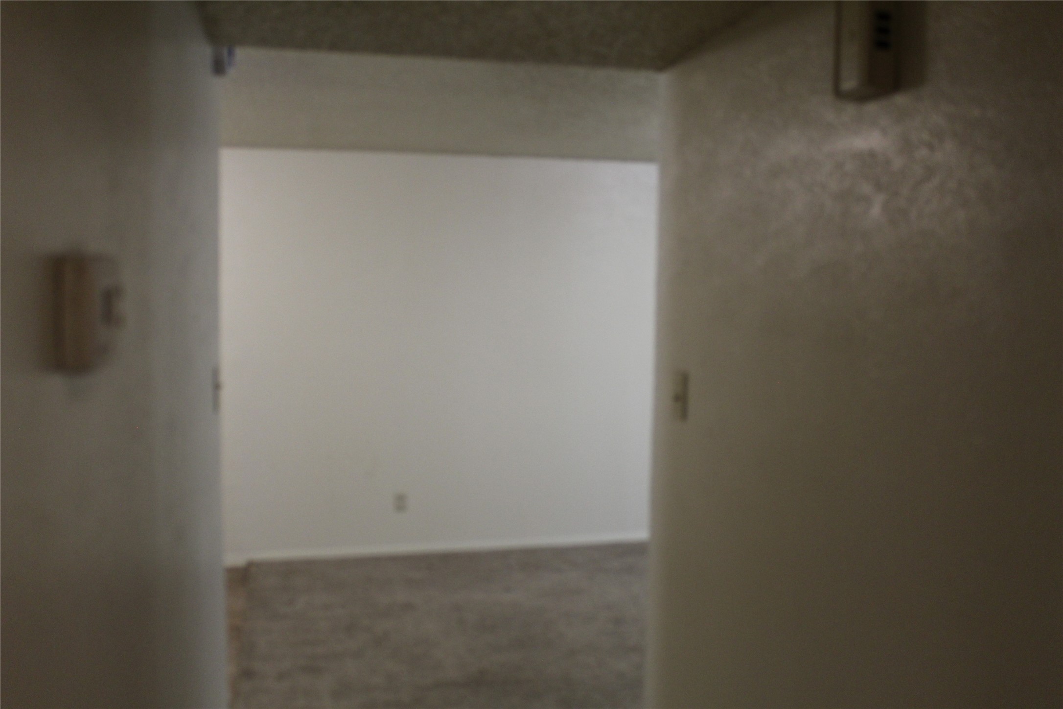 2507 Stella Street B