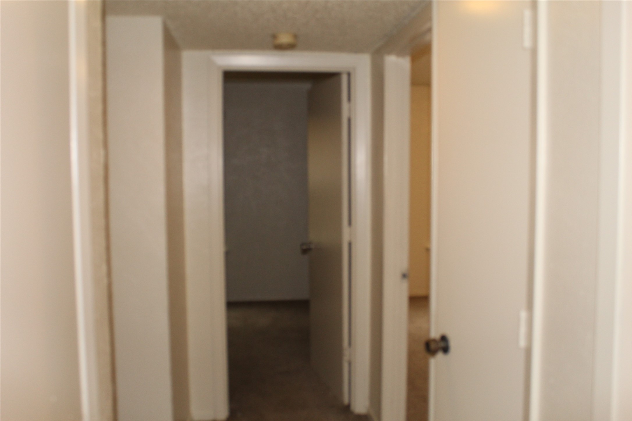 2507 Stella Street B