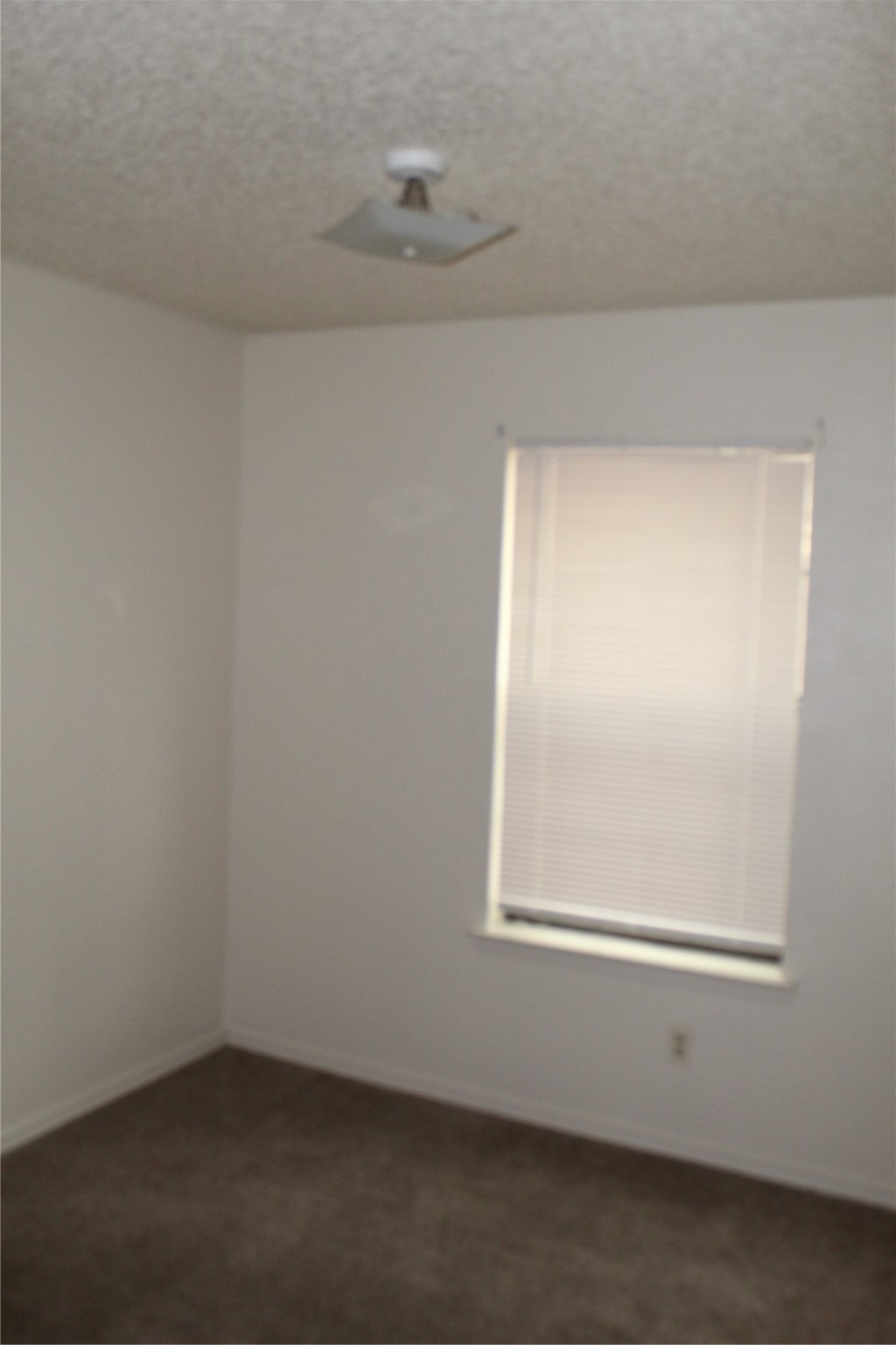 2507 Stella Street B