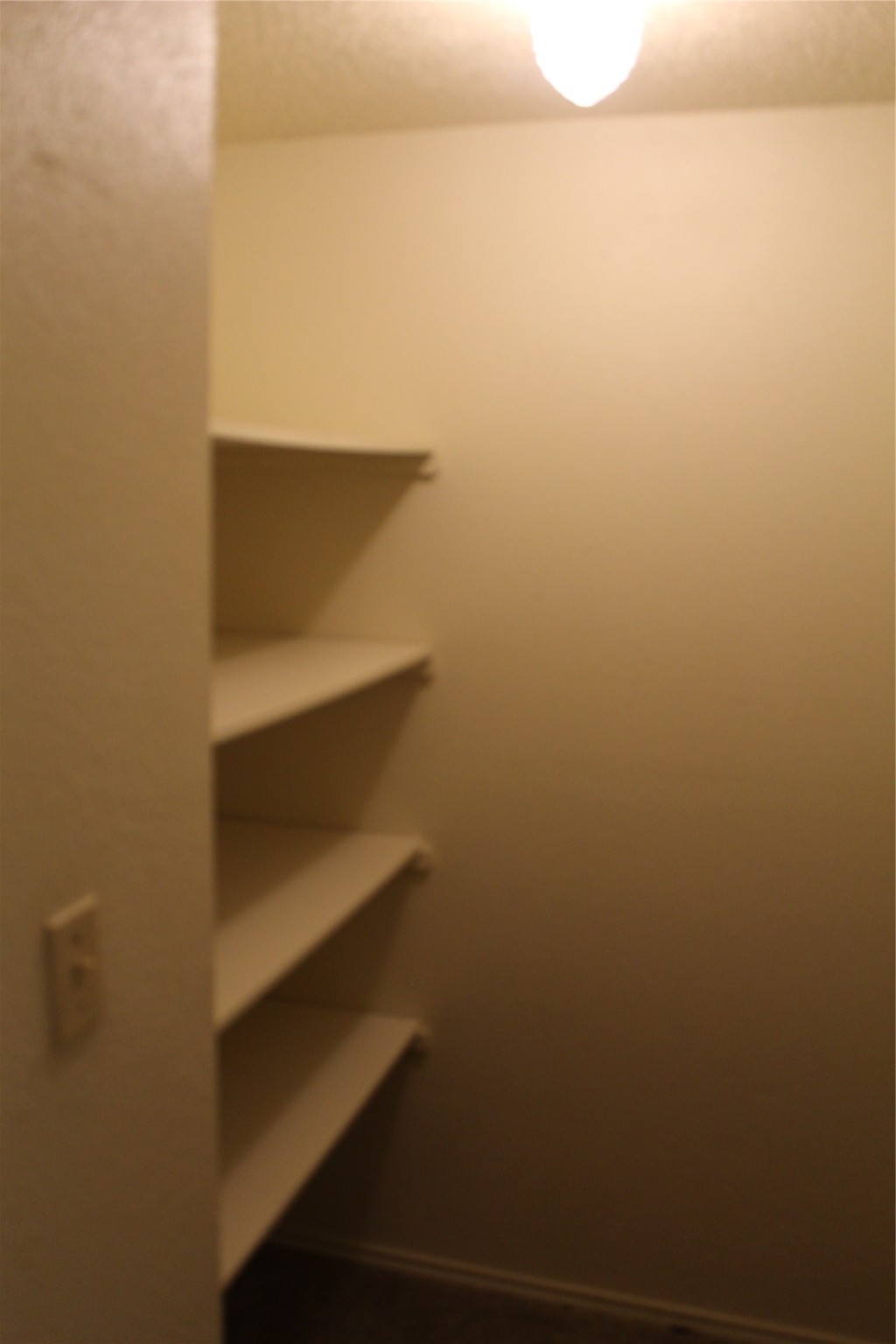 2507 Stella Street B