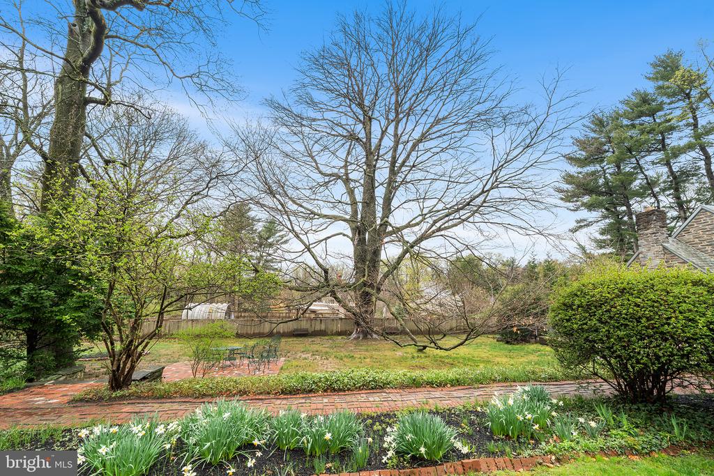 6600 WISSAHICKON