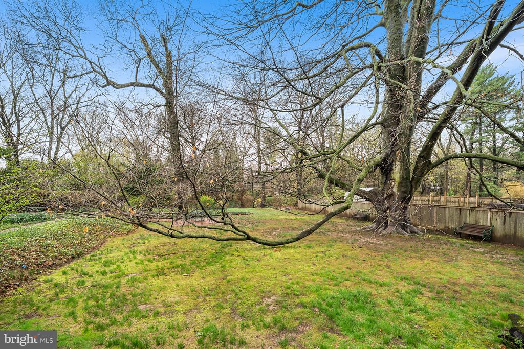 6600 WISSAHICKON