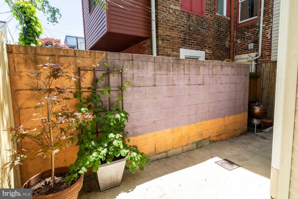 335 MANTON STREET