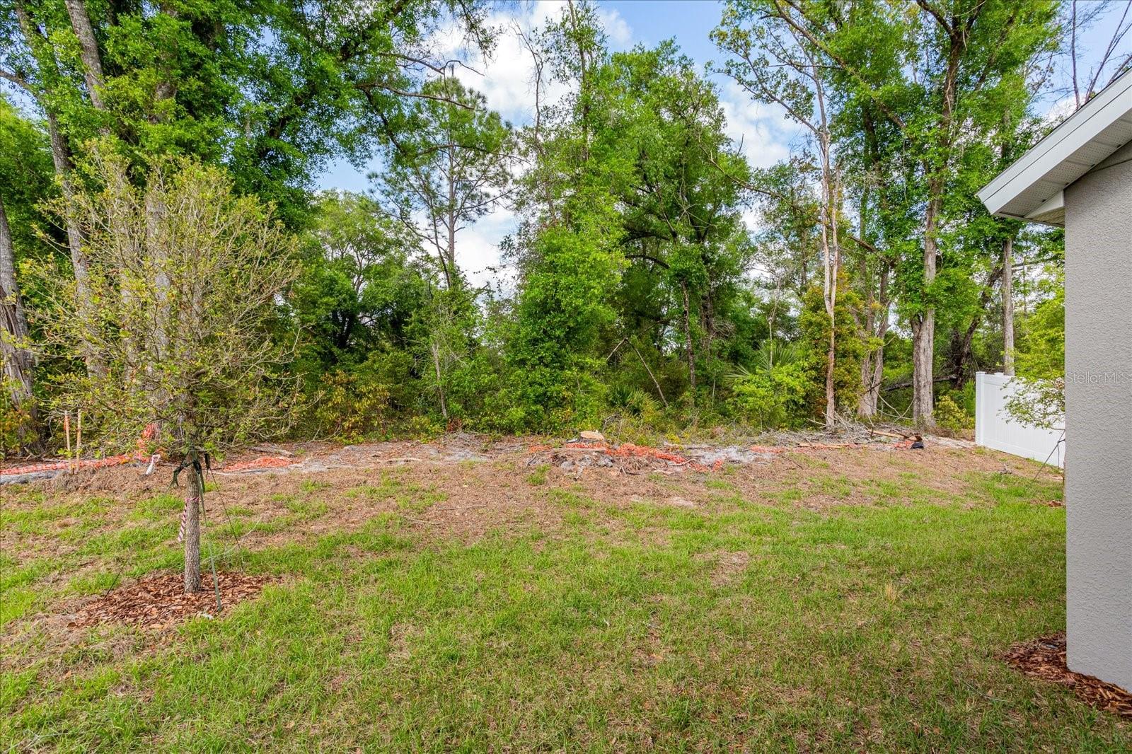 9097 CAPE COD RD