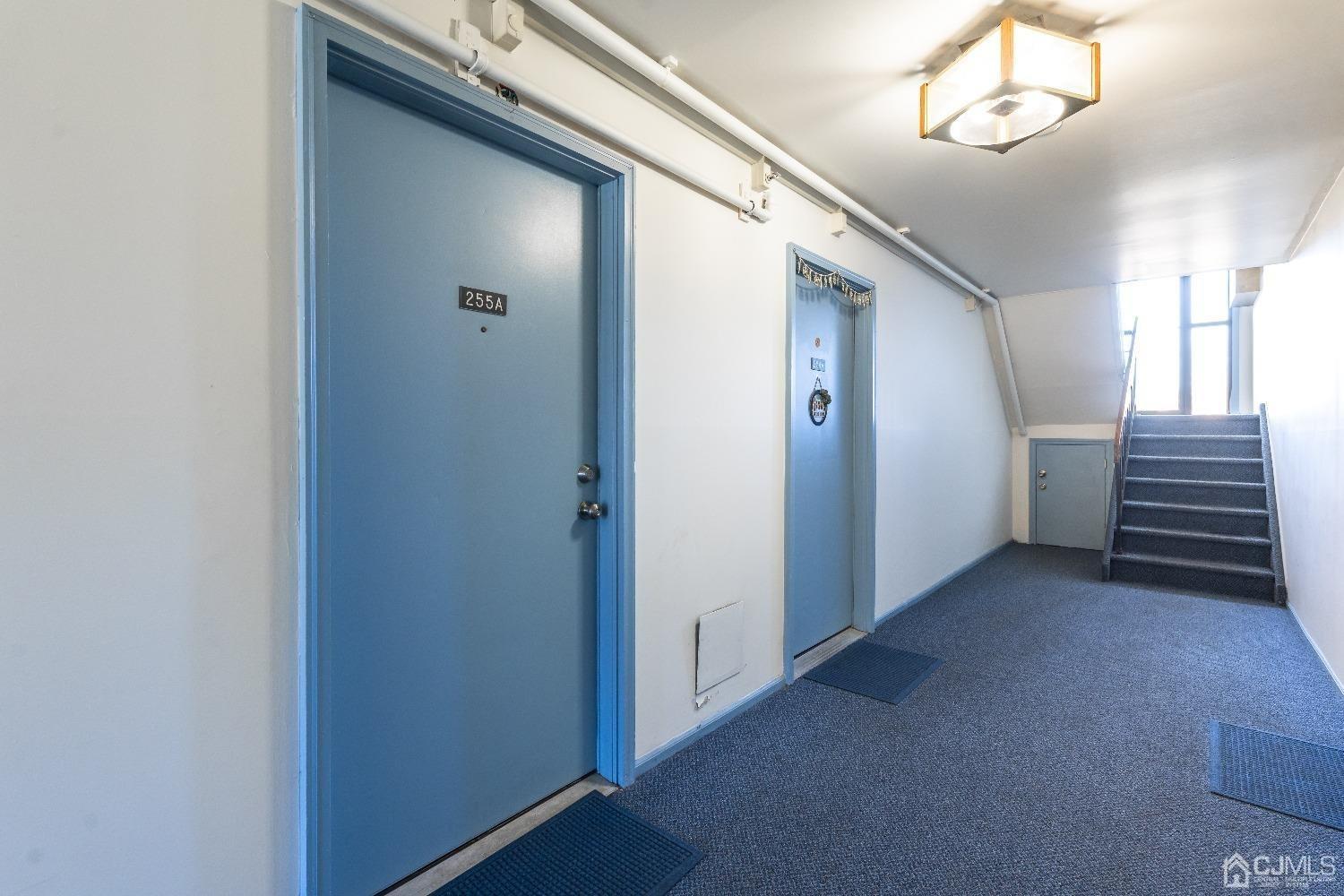 255 Alpine Way Street