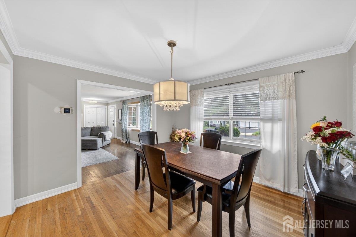 16 Dusko Drive