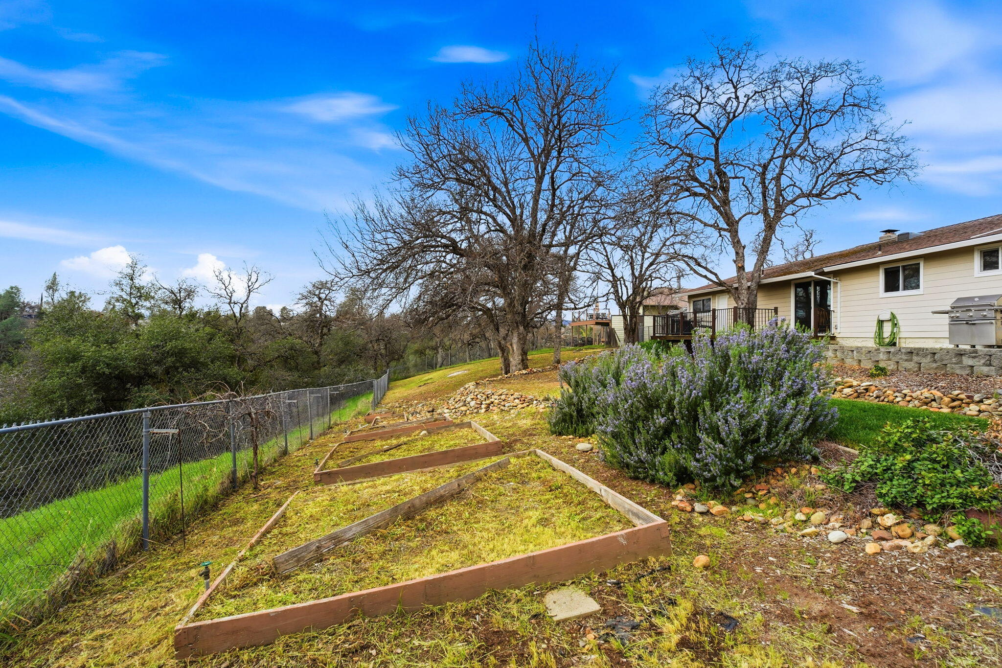 2415 Marion Court