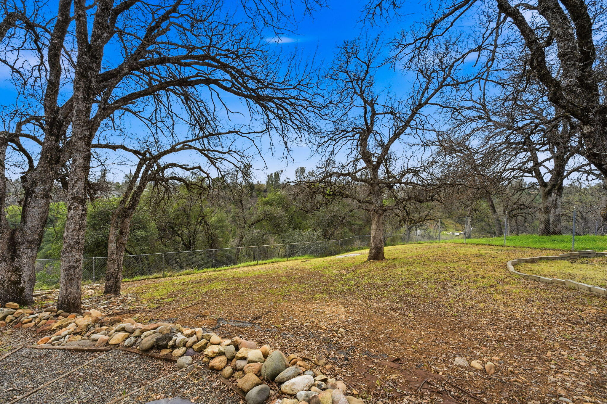 2415 Marion Court