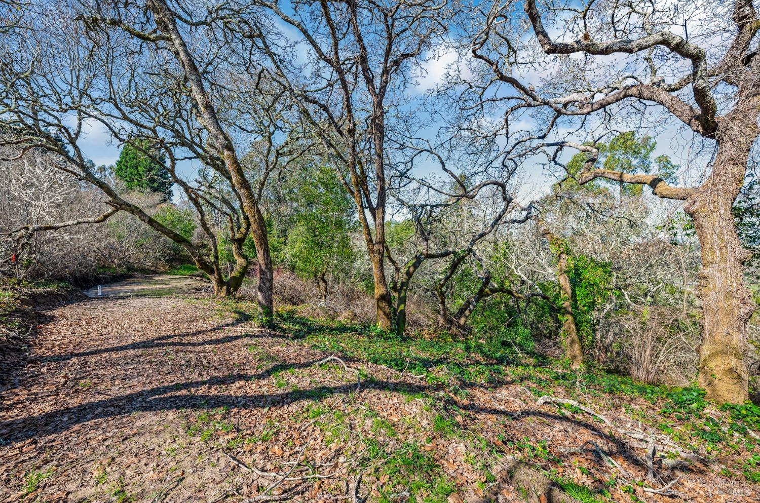 459 Gold Ridge Rd