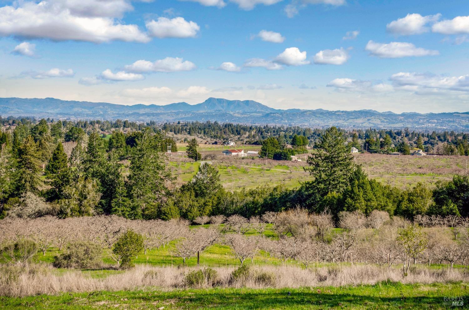 459 Gold Ridge Rd