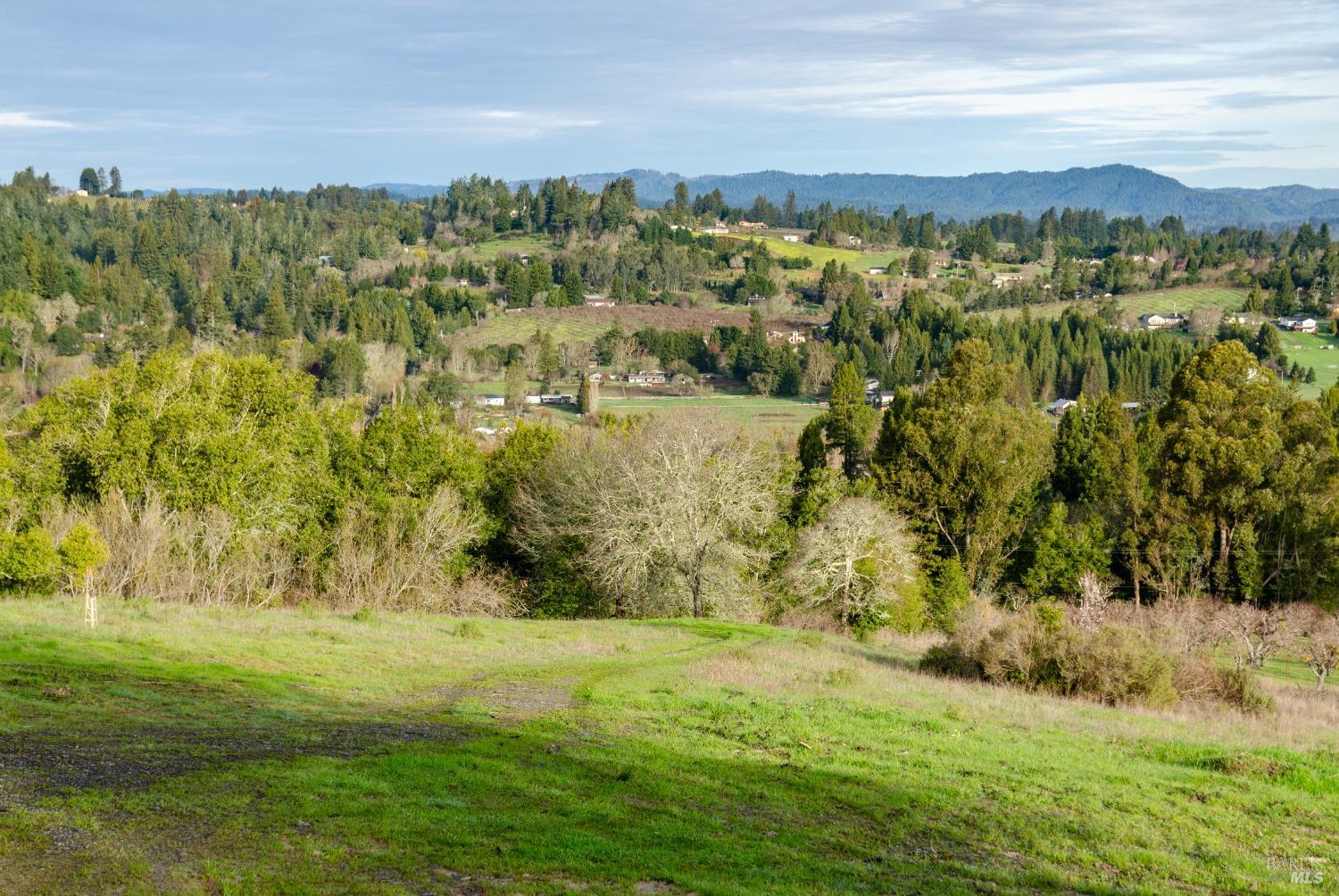 459 Gold Ridge Rd