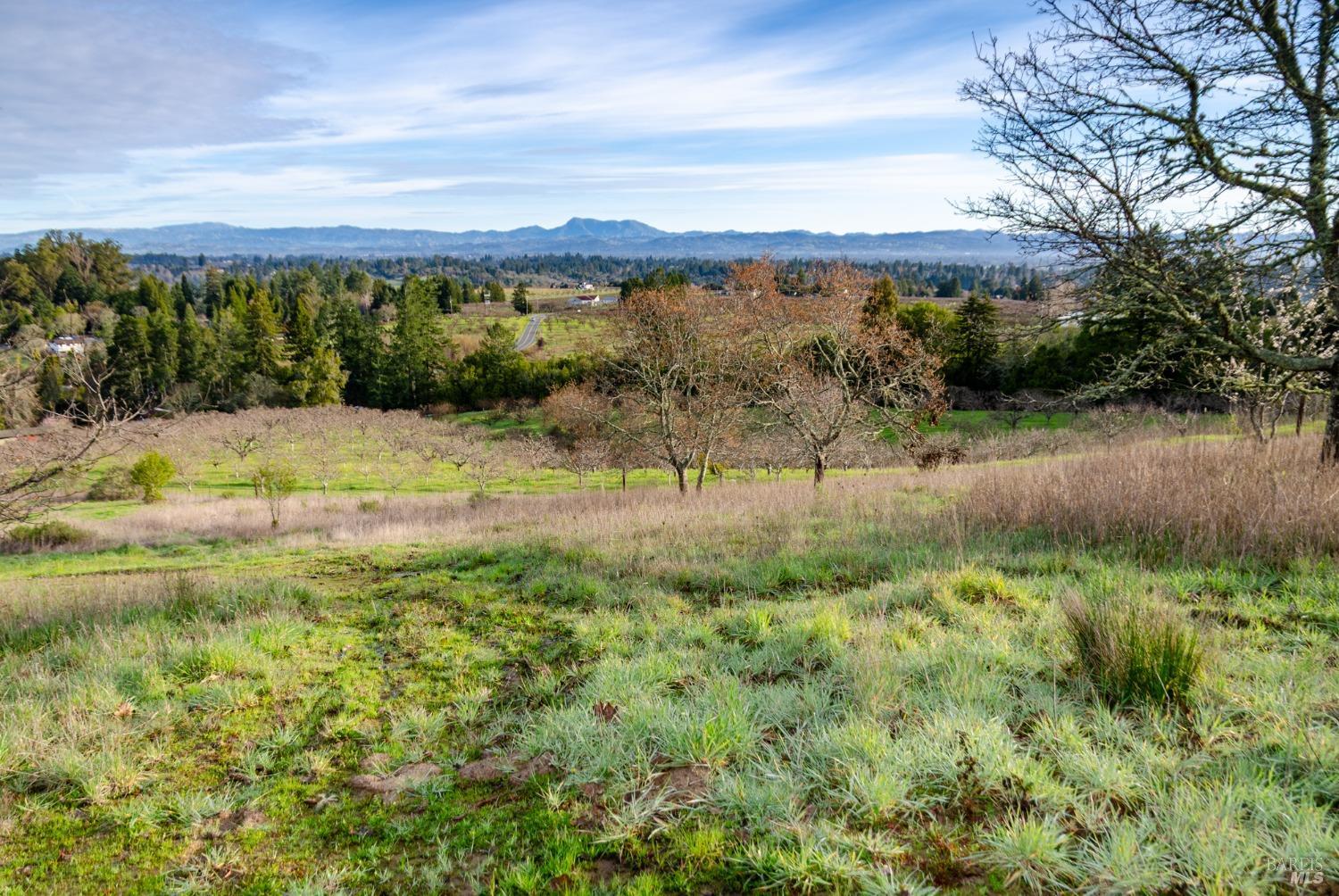 459 Gold Ridge Rd