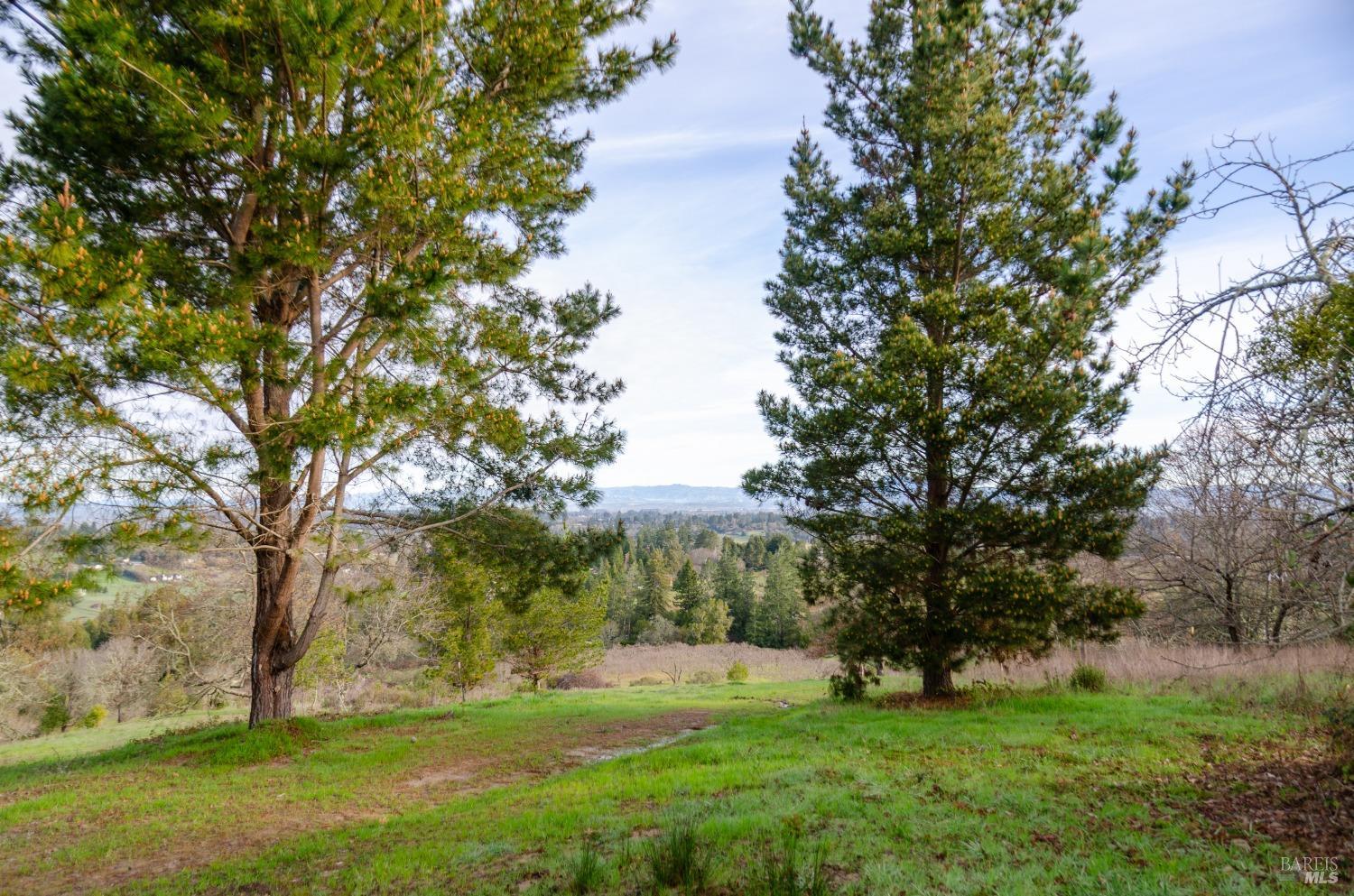 459 Gold Ridge Rd