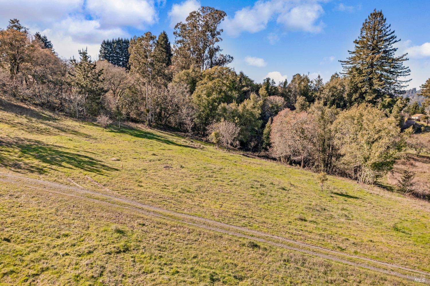 459 Gold Ridge Rd