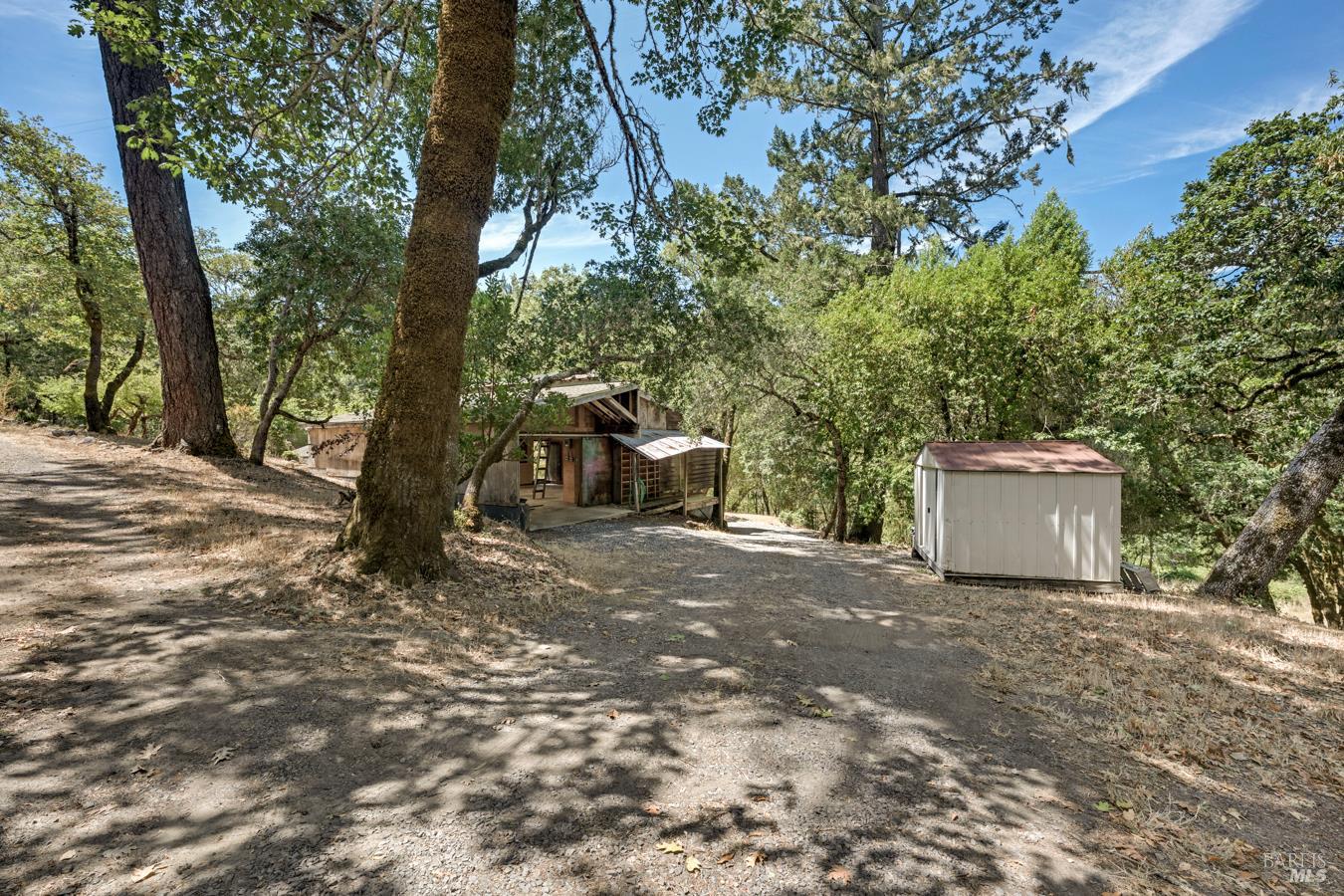 12956 Bones Lane