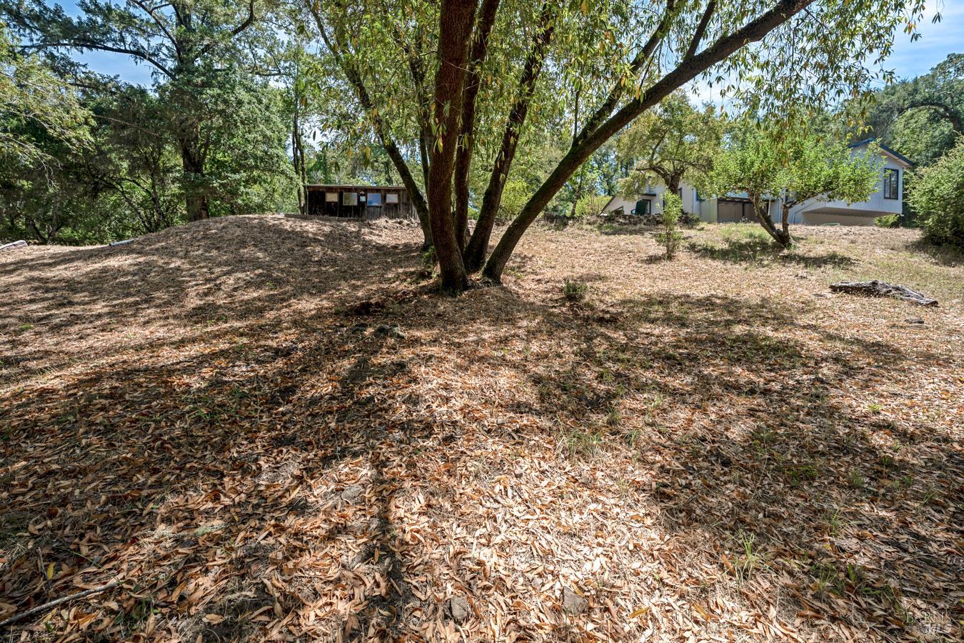 12956 Bones Lane
