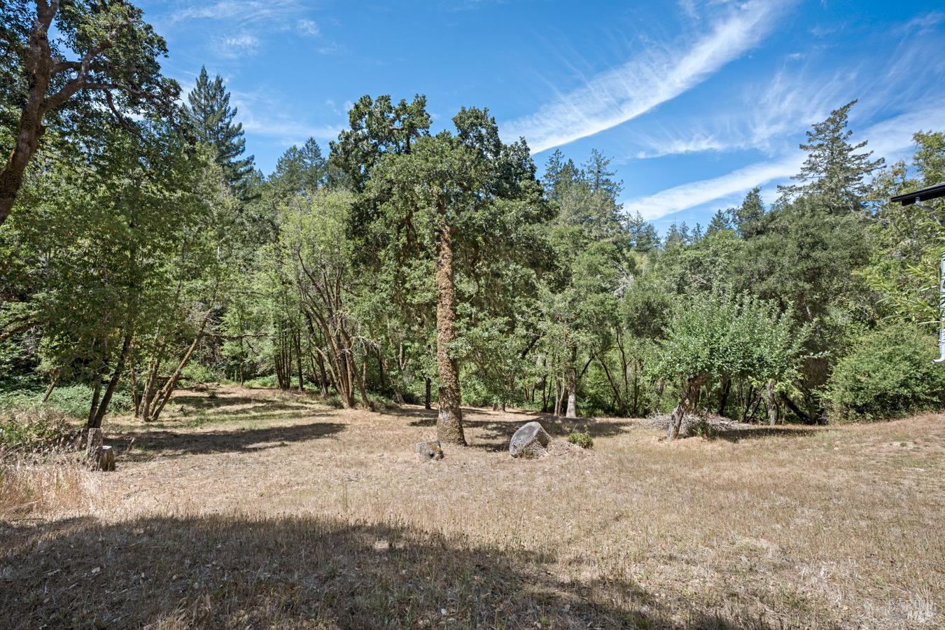 12956 Bones Lane