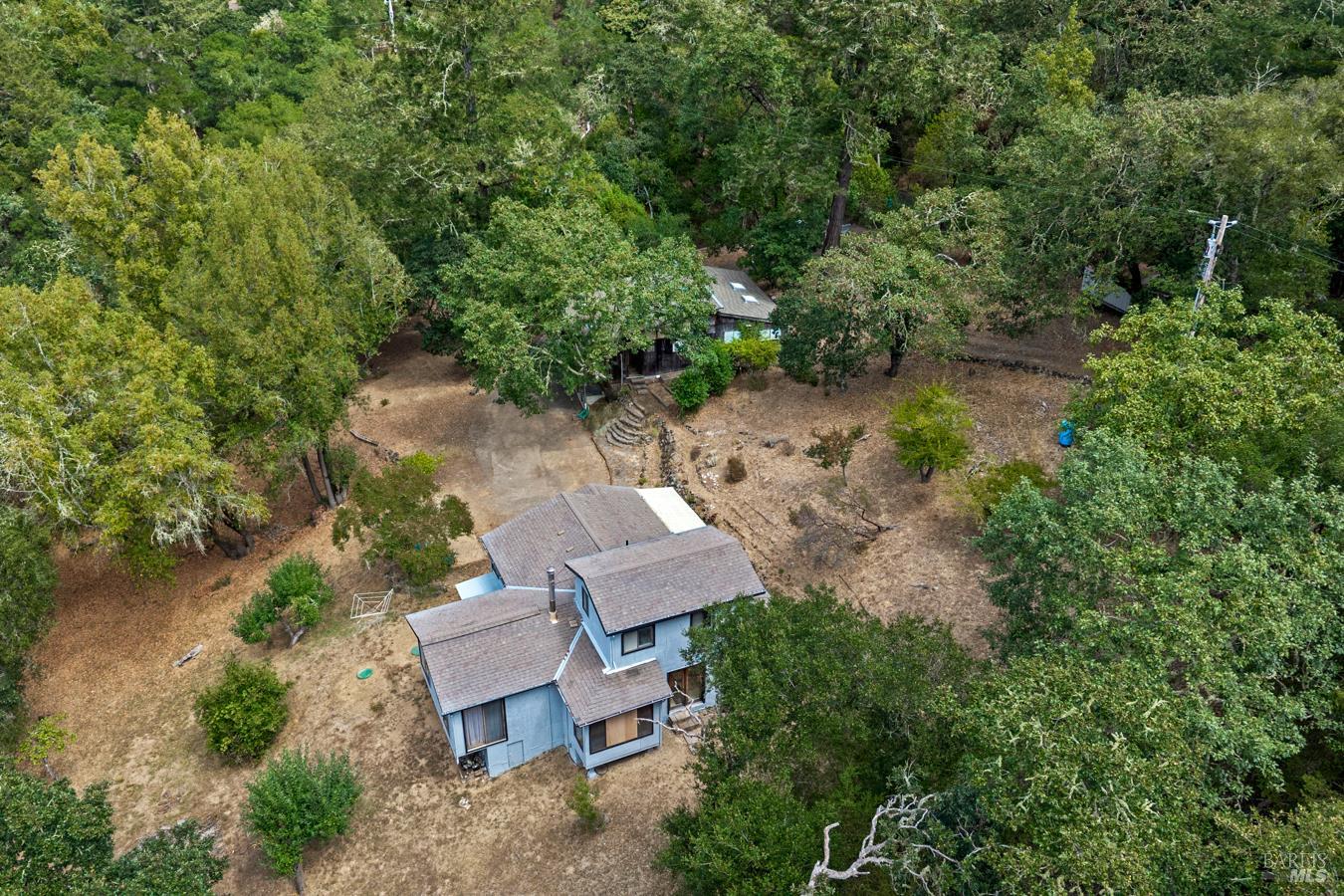 12956 Bones Lane