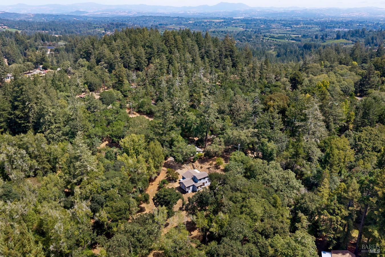 12956 Bones Lane