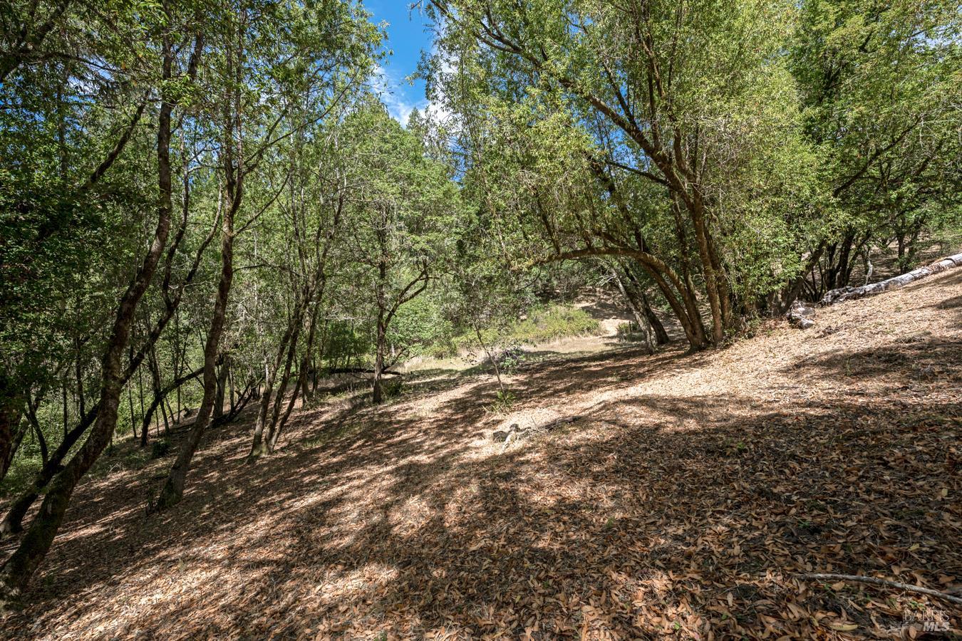12956 Bones Lane