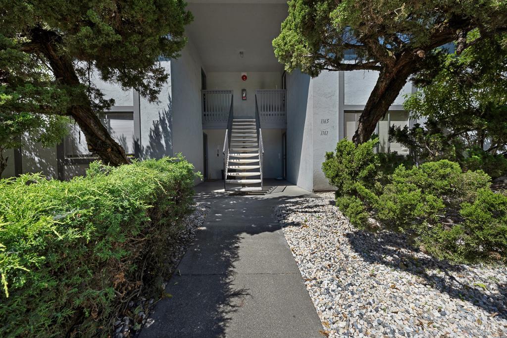 1175 Evans Drive