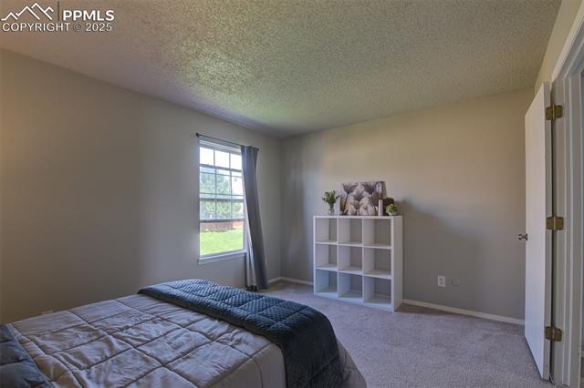 4223 Charleston Drive